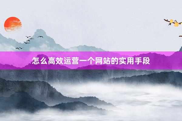 怎么高效运营一个网站的实用手段