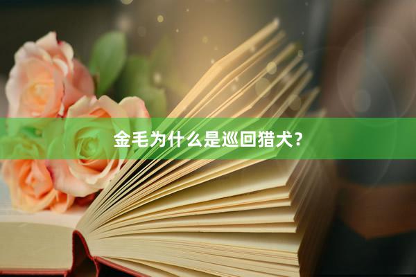 金毛为什么是巡回猎犬？