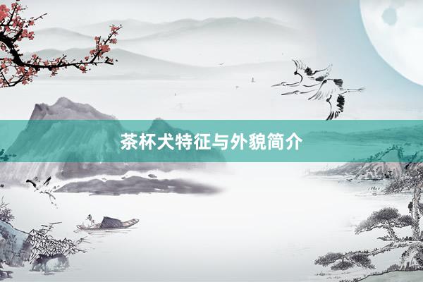 茶杯犬特征与外貌简介