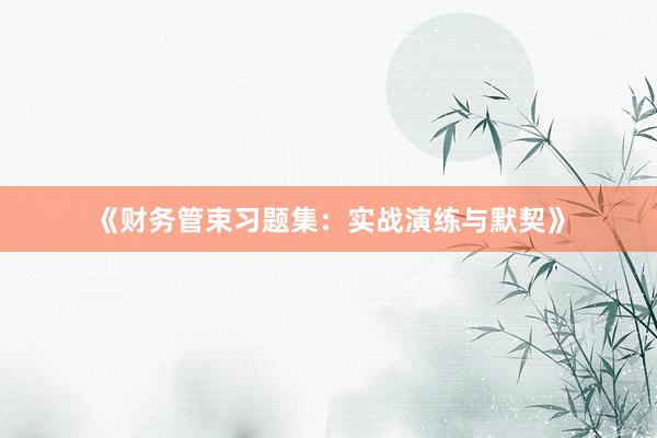 《财务管束习题集：实战演练与默契》